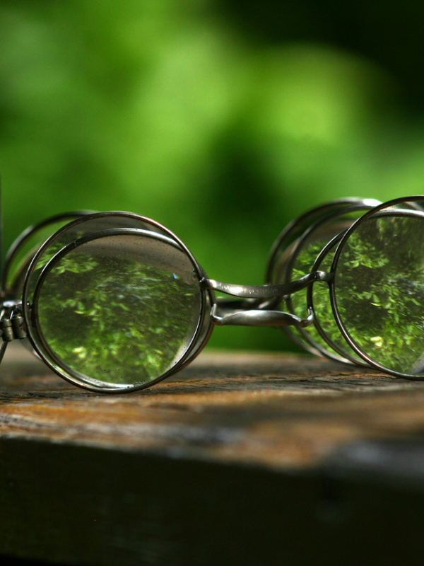 Fototeca.Temă cu variațiuni, Adriana Bittel